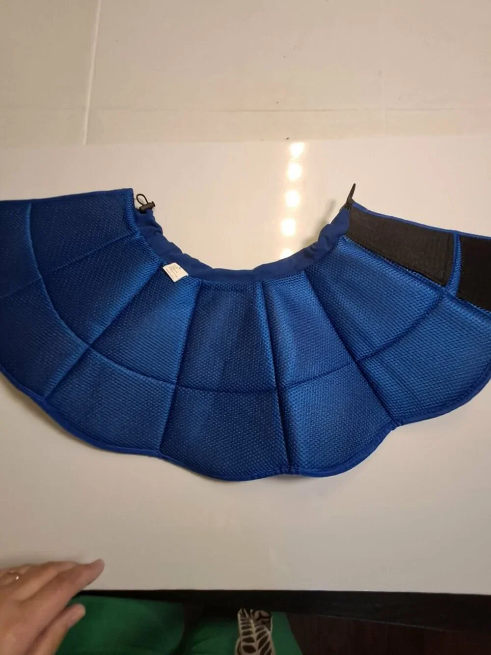 Soft Padded Dog Recovery Cone Blue Adjustable Size L